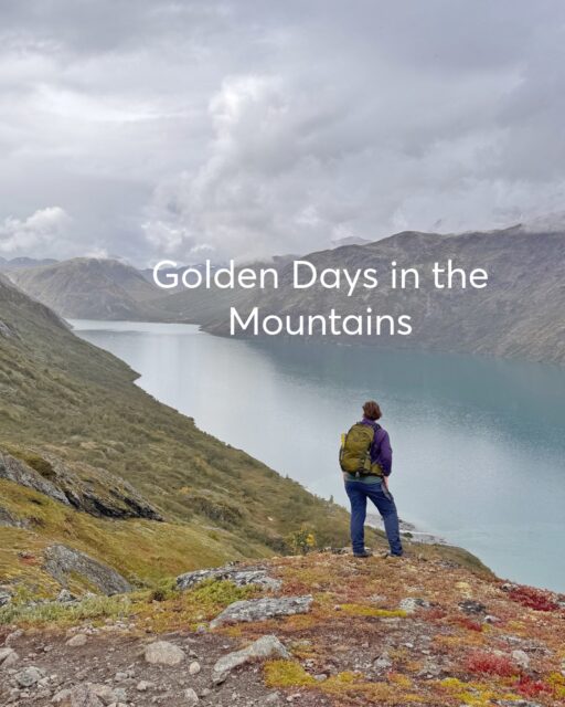 The Most Colourful Time of Year Is Almost Here 🍂

Few places are more beautiful than Jotunheimen when the landscape turns red, orange and gold. 

These photos are from Knutshøe—a wonderful hike with wide views across the mountains.

Autumn is a wonderful time to explore Jotunheimen, whether you prefer a day hike, a multi-day adventure between mountain lodges or a cycling trip surrounded by colourful scenery.