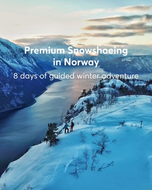 Your next winter holiday: eight days of guided snowshoeing in Norway. ❄️🏔️
Our Premium Snowshoeing Adventure combines active days in the mountains with comfortable stays and local food at Filefjellstuene.
Explore snowy birch forests, open mountain plateaus and spectacular views above the Sognefjord with a local guide. An evening hike with a meal around the bonfire adds a cosy touch to your winter week.
Ready to plan your Norwegian winter holiday?