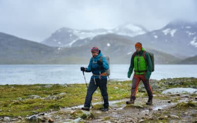 Using hiking poles – In or out?
