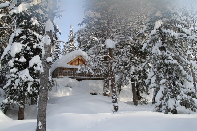 Wildnishütte von Beito Husky