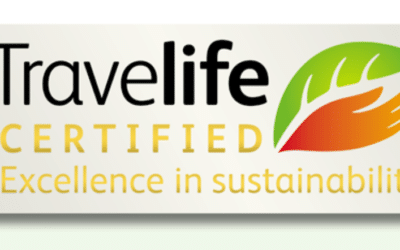 Almost Nothing We Do Is Sustainable