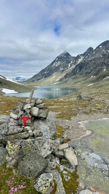 Svartdalen ✨ Probably one of our favorite hikes in Jotunheimen 🩵
Which one is yours?

#jotunheimen #hikingnorway #explorenorway #visitnorway #hikingadventures