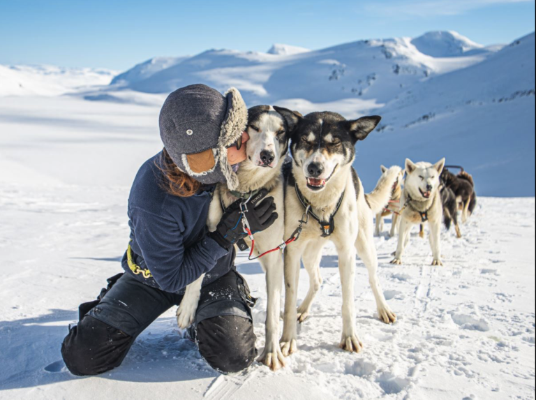 Dog Sledding Adventure from Oslo
